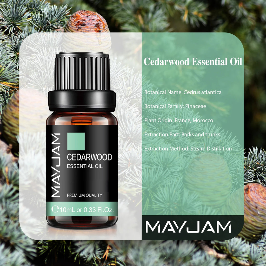 S8747fa91aae44a24bc377f4afde038d93